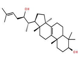 桦褐孔菌醇