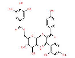 山奈酚 3-O-(6''-没食子酰基)-beta-D-吡喃葡萄糖苷