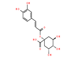 1-咖啡酰奎宁酸