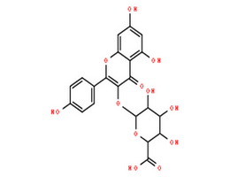山奈酚葡萄糖醛酸苷