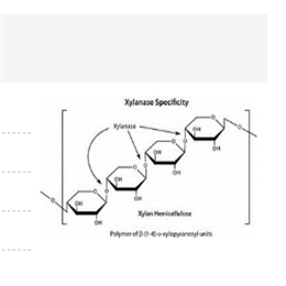 半纤维素酶