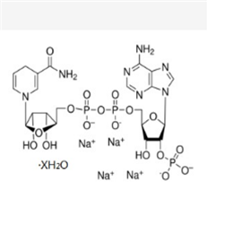还原辅酶Ⅱ四钠盐