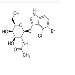 5-溴-4氯-3-吲哚N-乙酰-β-D-氨基半乳糖苷