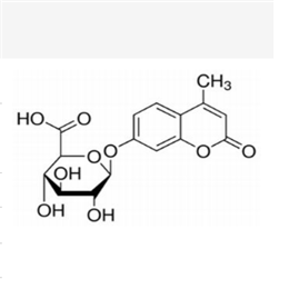 4-甲基伞形酮-D-葡萄糖醛酸苷