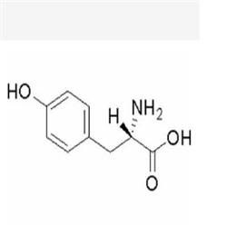 L-酪氨酸