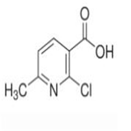 2-氯-6-甲基烟酸