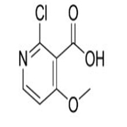 2-氯-4-甲氧基烟酸