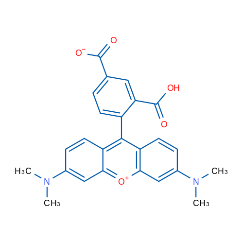5-羧基四甲基罗丹明