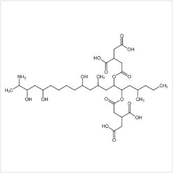 伏马毒素B1