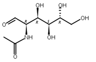 N-乙酰化氨基葡萄糖