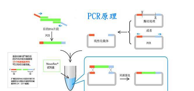 恶性疟PCR定量试剂盒