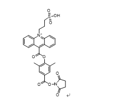 吖啶酯-1