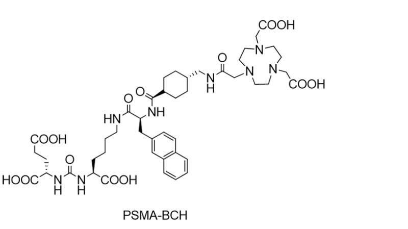 PSMA-BCH