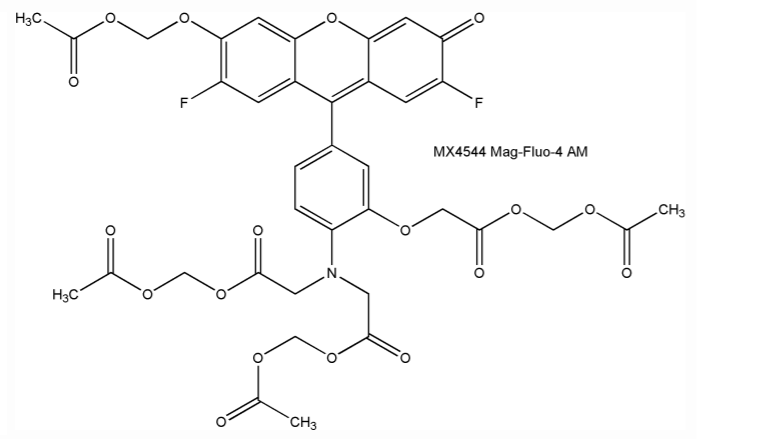 Mag-Fluo-4 AM,镁离子荧光探针