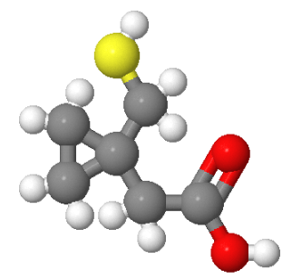 162515-68-6；1-巯甲基环丙基乙酸