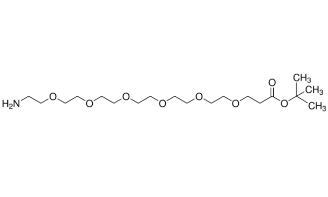 Amino-PEG6-t-butylester,氨基-六聚乙二醇丙酸叔丁酯