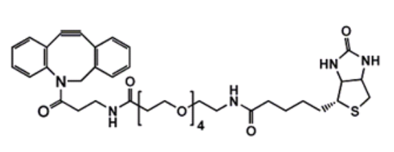 DBCO-PEG4-Biotin，DBCO-NH-PEG4-Biotin，二苯基环辛炔-四聚乙二醇-生物素