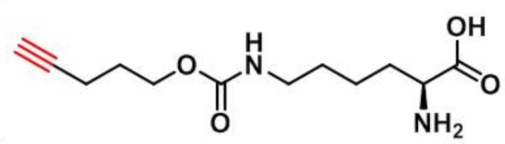 N-戊炔氧羰基]-赖氨酸，N-Pentyn1yloxycarbonyl]-L-lysine