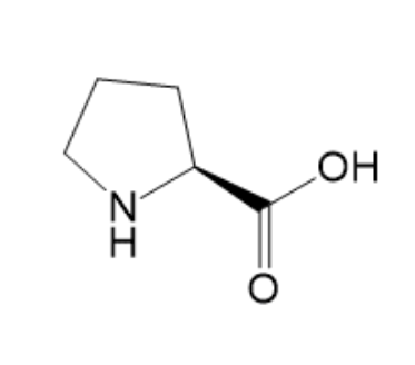 L-脯氨酸