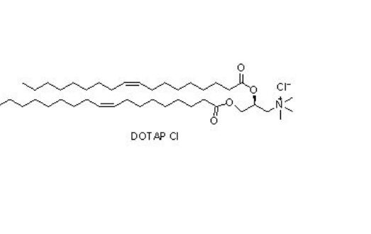 (2,3-二油氧基丙基)三甲基氯化铵