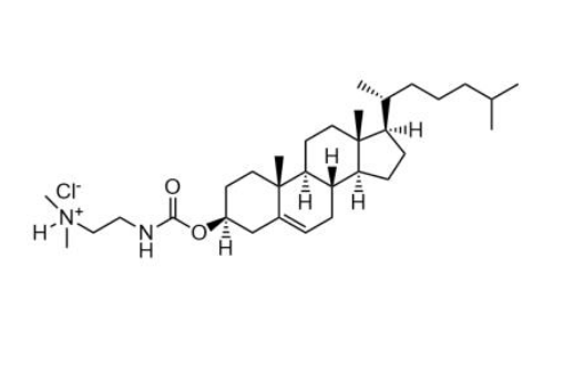 胆固醇基 3β-N-氨基乙基氨基甲酸酯 盐酸盐