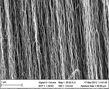 碳纳米管垂直阵列