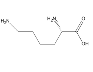 L-赖氨酸