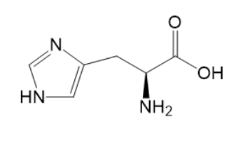 组氨酸