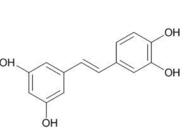 白皮杉醇