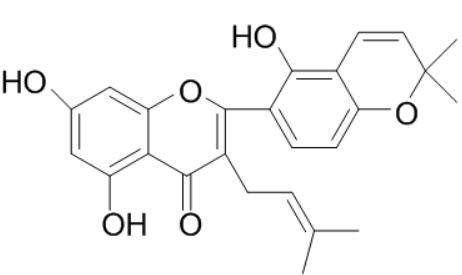 桑皮酮B