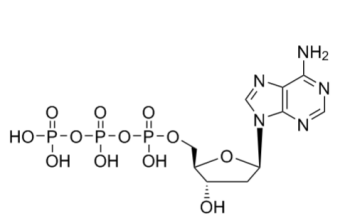 2'-脱氧腺苷 5'-三磷酸酯