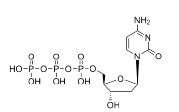2'-脱氧胞苷三磷酸