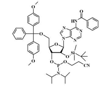 N-苯甲酰基-5'-O-(4,4-二甲氧基三苯甲基)-2'-O-[(叔丁基)二甲基硅基]腺苷-3'-(2-氰基乙基-N,N-二异丙基)亚磷酰胺
