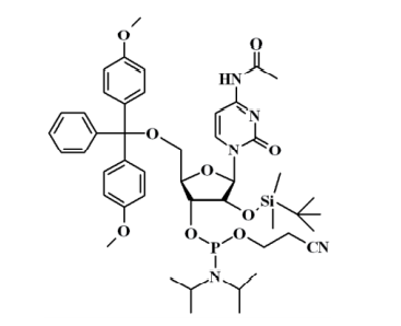 N-乙酰基-5'-O-(4,4-二甲氧基三苯甲基)-2'-O-[(叔丁基)二甲基硅基]胞苷-3'-(2-氰基乙基-N,N-二异丙基)亚磷酰胺