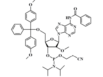 N-苯甲酰基-5'-O-(4,4-二甲氧基三苯甲基)-2'-O-甲基腺苷-3'-(2-氰基乙基-N,N-二异丙基)亚磷酰胺