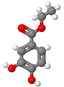 3943-89-3；3,4-二羟基苯甲酸乙酯