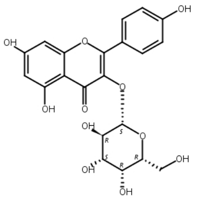 山奈酚-3-O-半乳糖苷