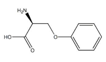 （S）-2-氨基-3-苯氧基丙酸