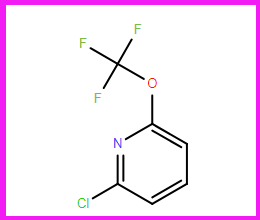 2-氯-6-三氟甲氧基吡啶
