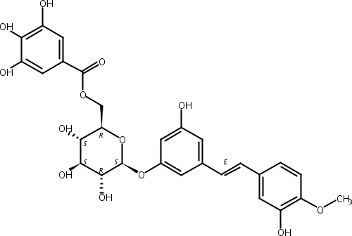 土大黄苷 6′′-O-没食子酸酯