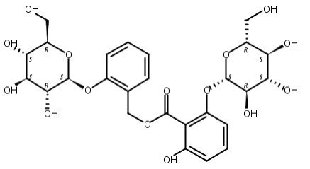 二酚基水杨苷