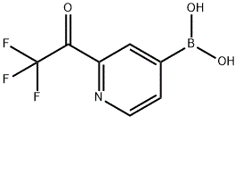 2-三氟乙酰基吡啶-4-硼酸