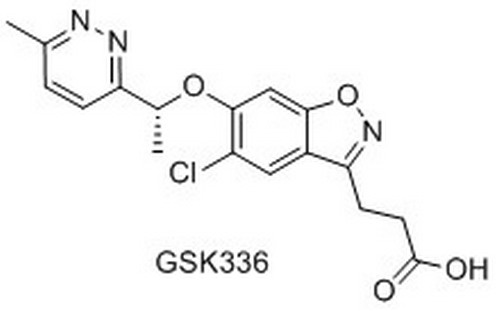 GSK336