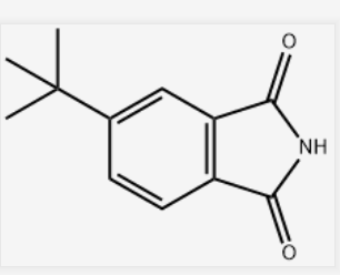 5-叔丁基异吲哚-1,3-二酮