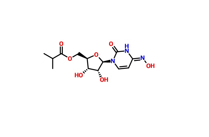 Molnupiravir(核苷抑制剂EIDD-2801/MK4482）