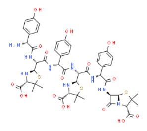 AMoxicillin TriMer