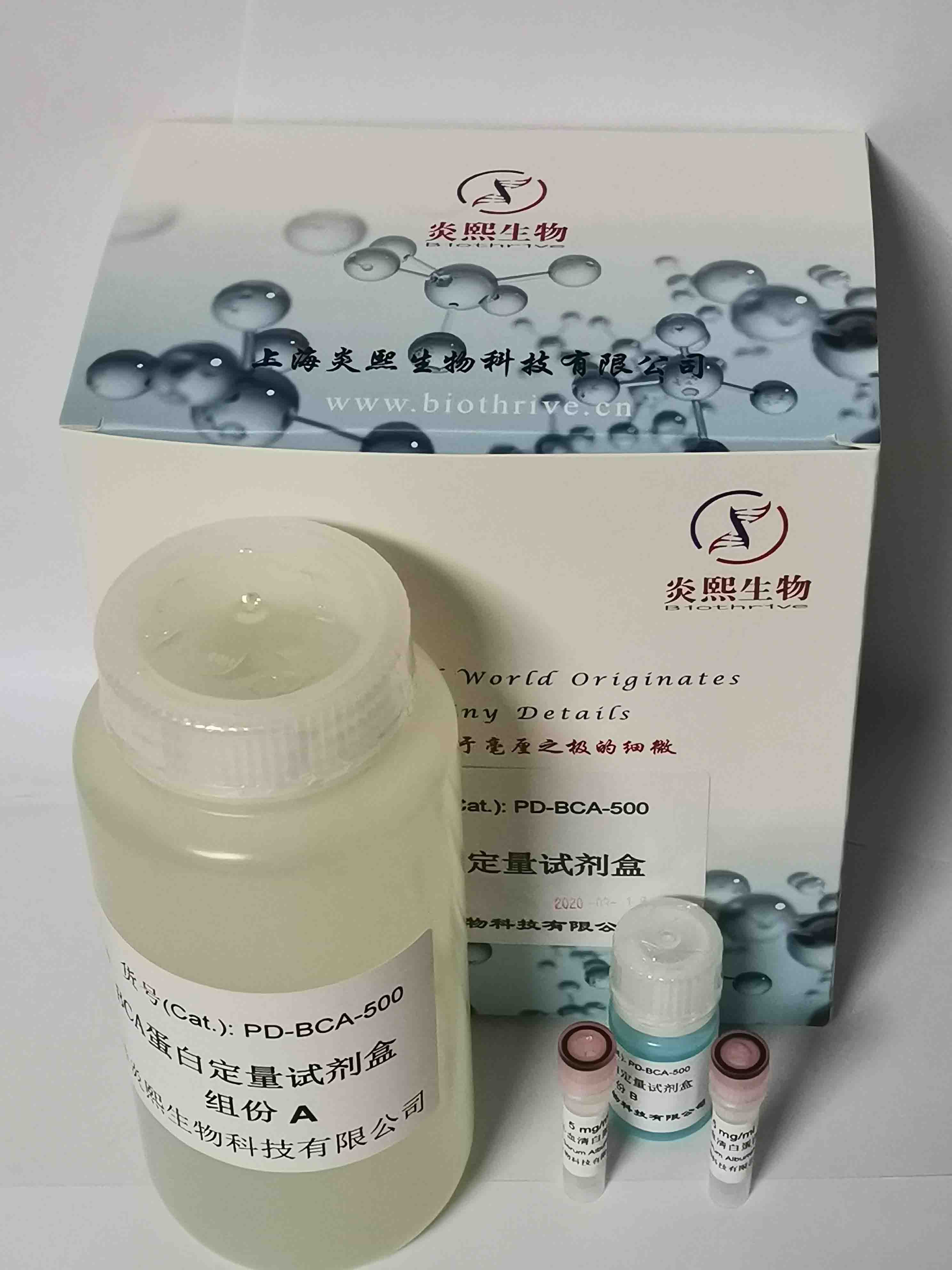 BCA蛋白定量试剂盒