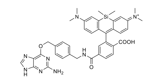 硅基罗丹明-苄基鸟嘌呤，SiR650-BG，SiR650-Benzylguanine