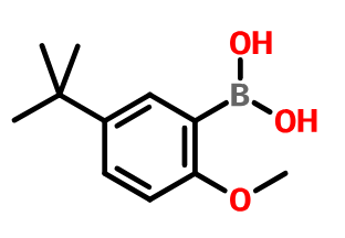 5-叔丁基-2-甲氧基苯硼酸