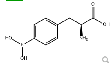 4-硼-L-苯基丙氨酸